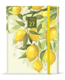 DIÁŘ TÝDENNÍ - PROKOP 2027 / Lemon